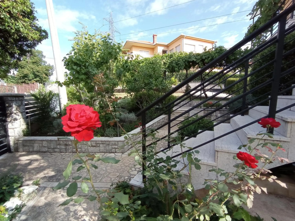 Apartman Šimun