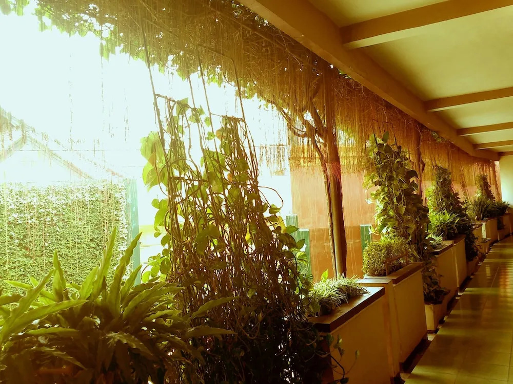 Hotel Lestari Near Lippo Plaza Mall Jember
