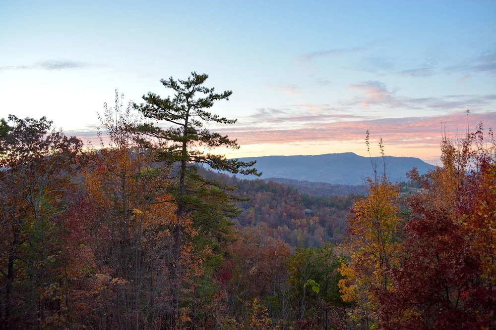 MAJESTIC OAKS - 3 Br Cabin