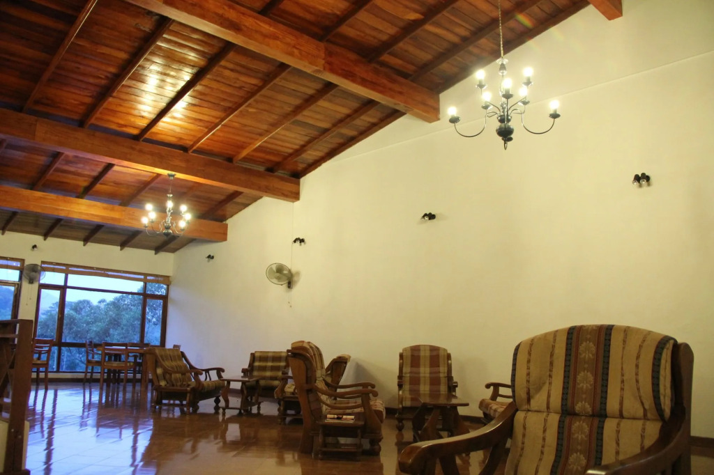 Alta Vista