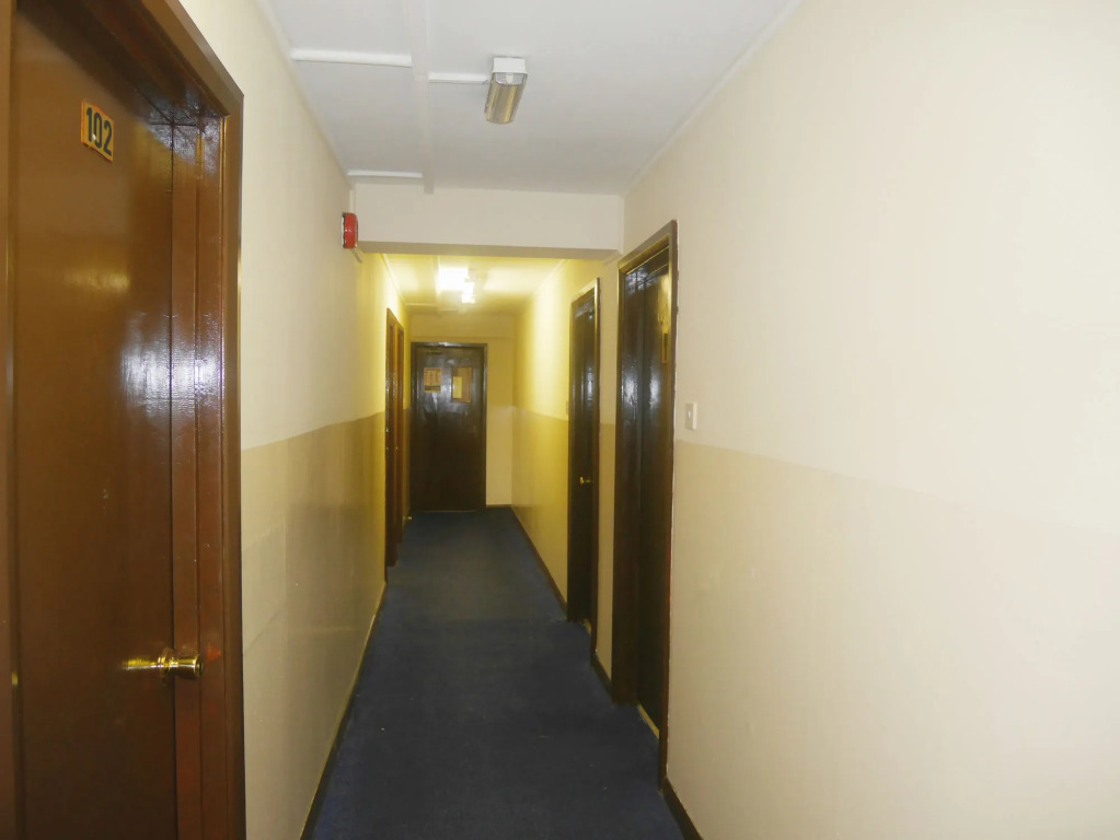 Kensal Green Backpackers 1