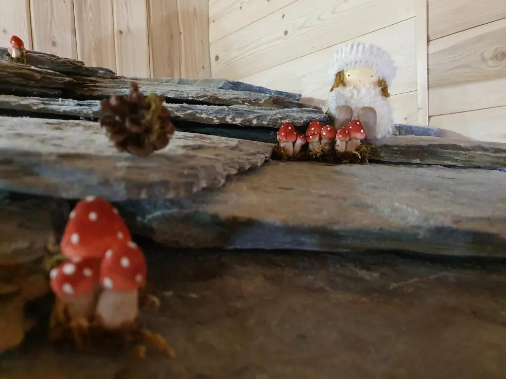 Chalet Le Bois Joli