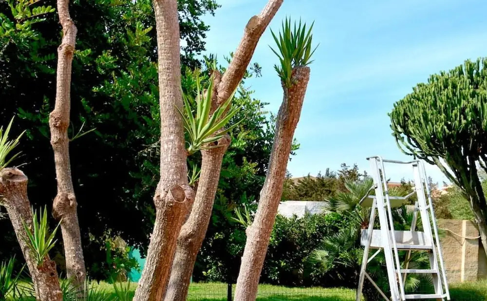 Villa Aurora, Private Pine Forest, Barbecue, Solarium