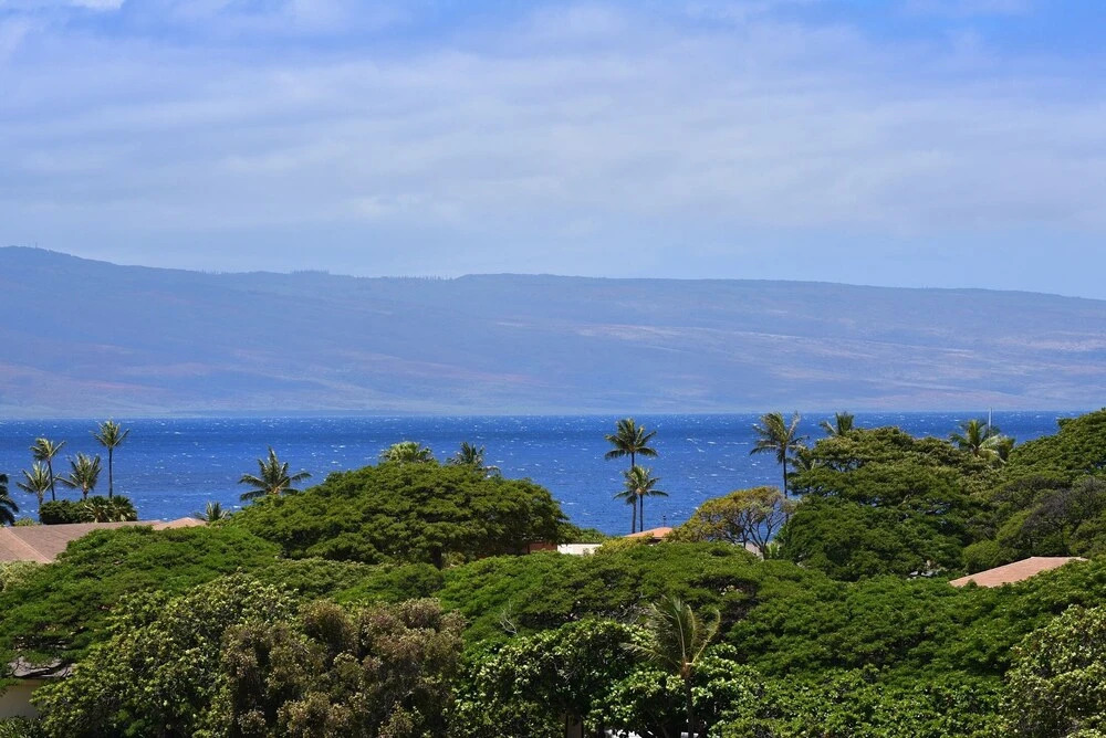 Kaanapali Royal #n302 2 Bedroom Condo by RedAwning