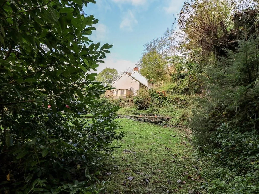Plyg-y-rhiw