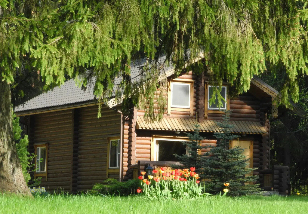 Верижица
