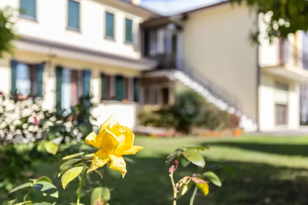 Home near Venice