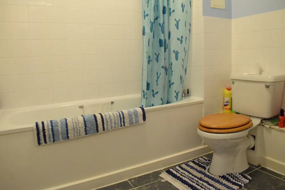 1 Bedroom Apartment in Dalston With Balcony