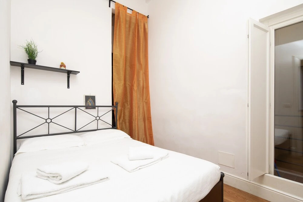 Borgo San Frediano 65