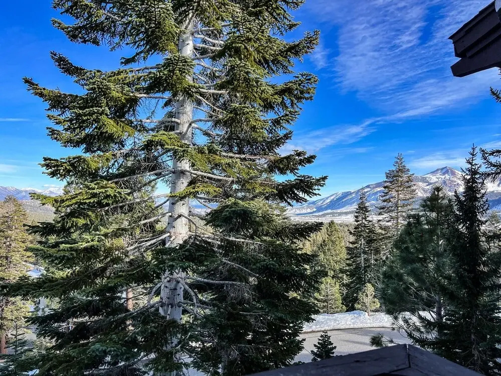 Mammoth Point #106 2 Bedroom Condo by RedAwning