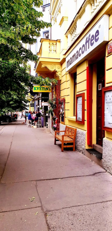 Cozy studio in Vinohrady