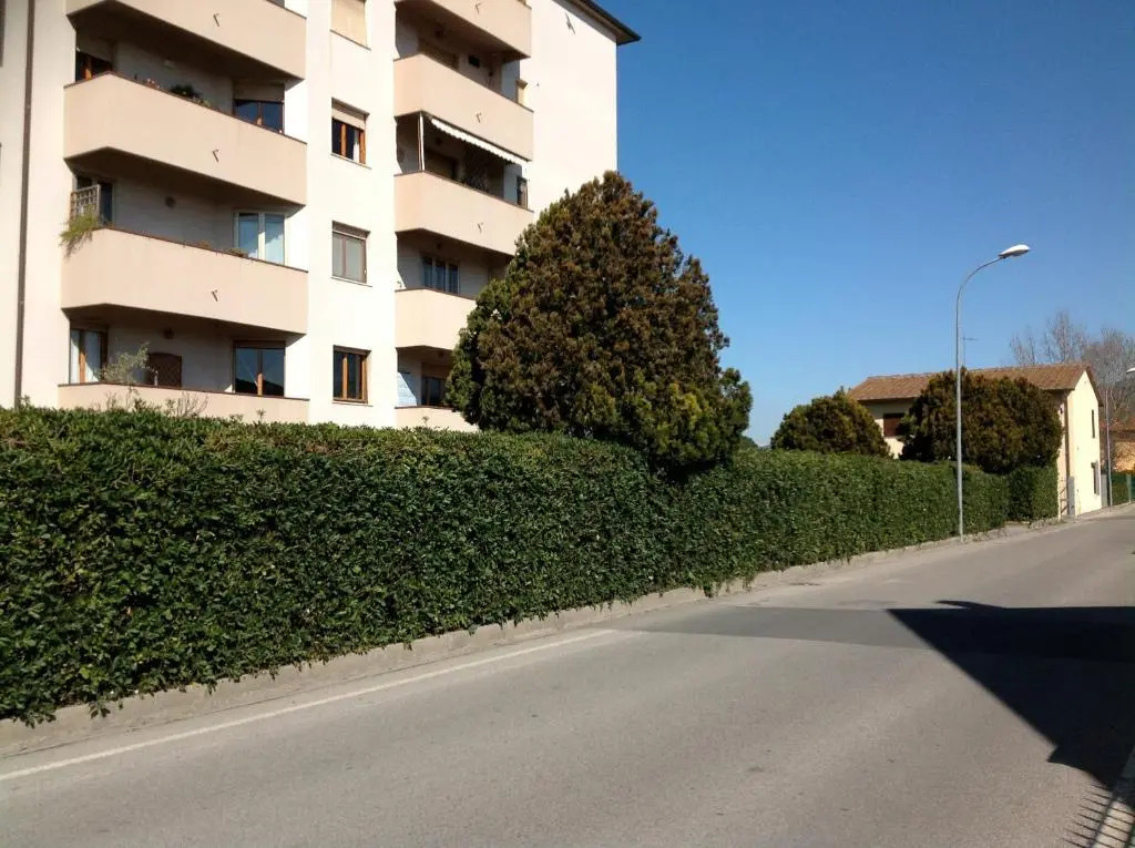 Cisanello Guest House