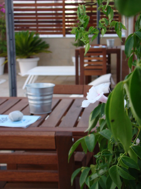 Apartamentos Fleming 50