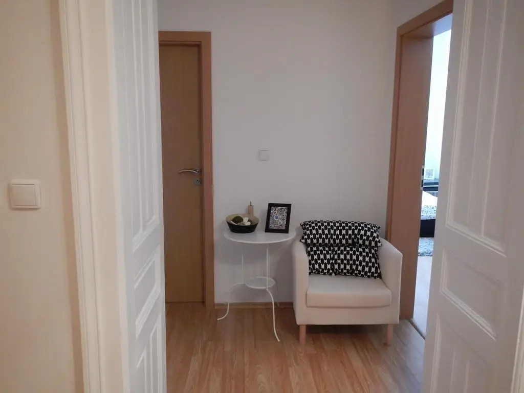 Downtown Apartment Behounska