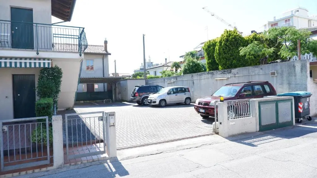 Cavazuccherina N.8