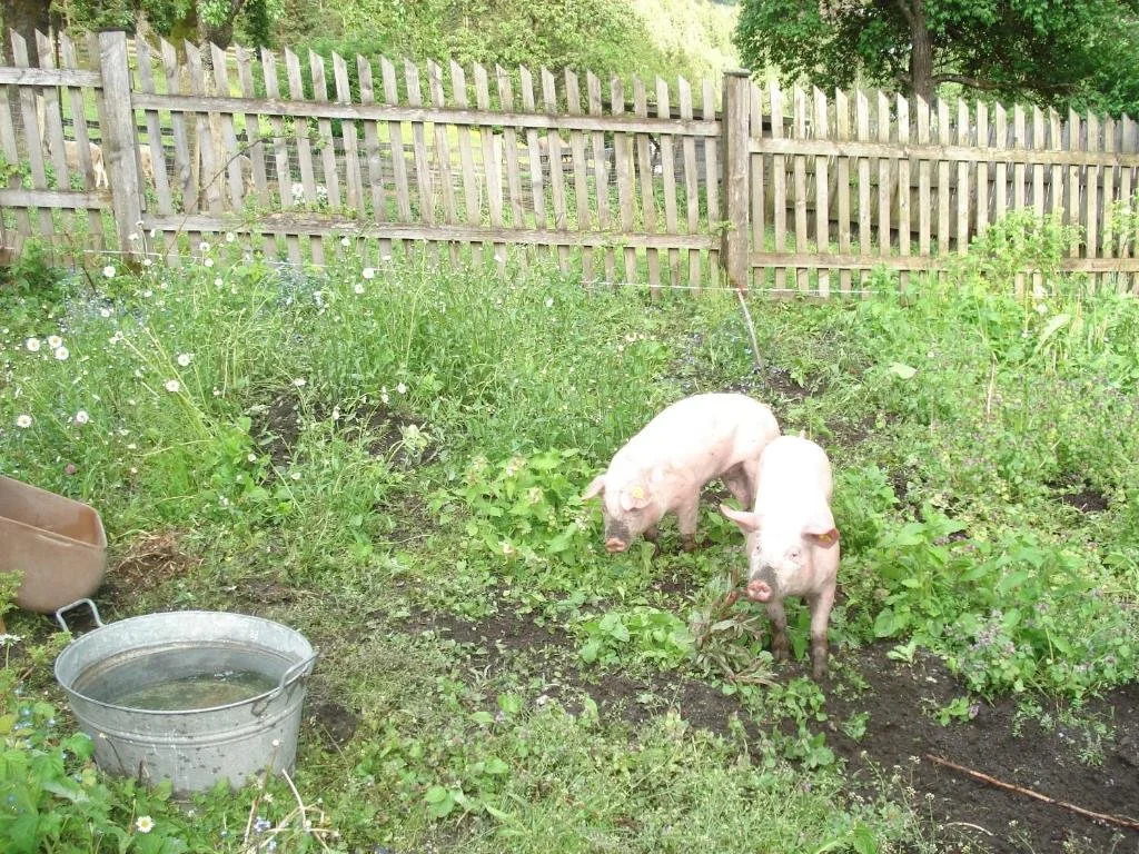 BIO Betrieb Saumerhof