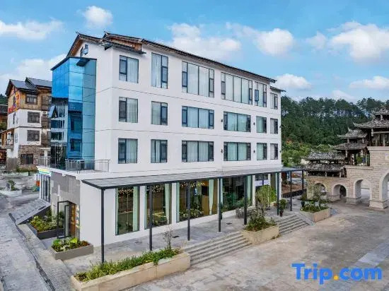 Yishan Homestay (Libo Xiaoqikong East Gate)
