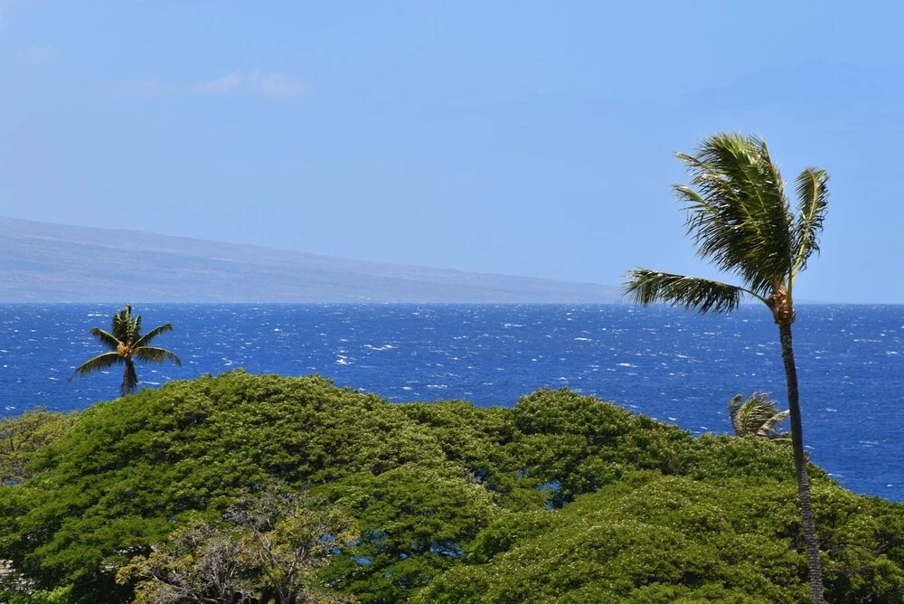 Kaanapali Royal #n302 2 Bedroom Condo by RedAwning