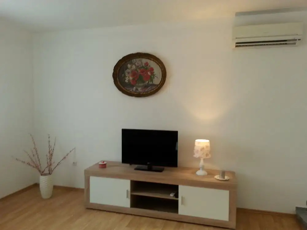 Apartment Branko
