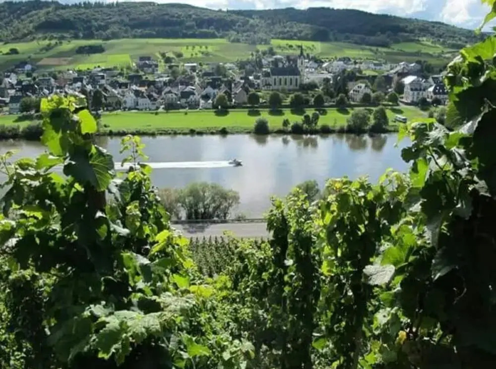 Holiday Apartment Moselle Beach 1