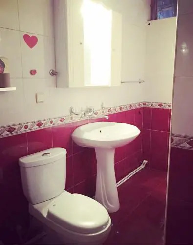 Mg