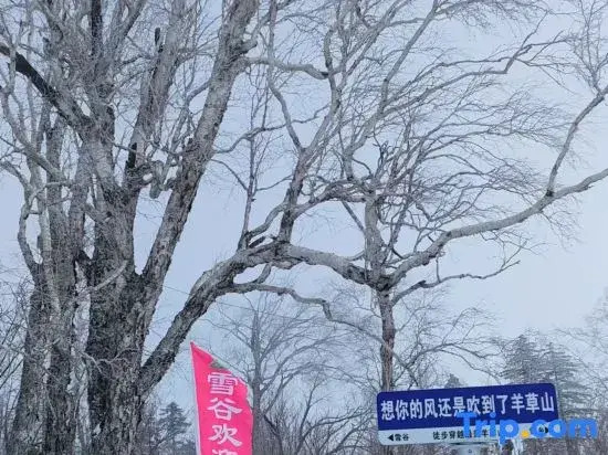 Liu family compound in Snow Valley
