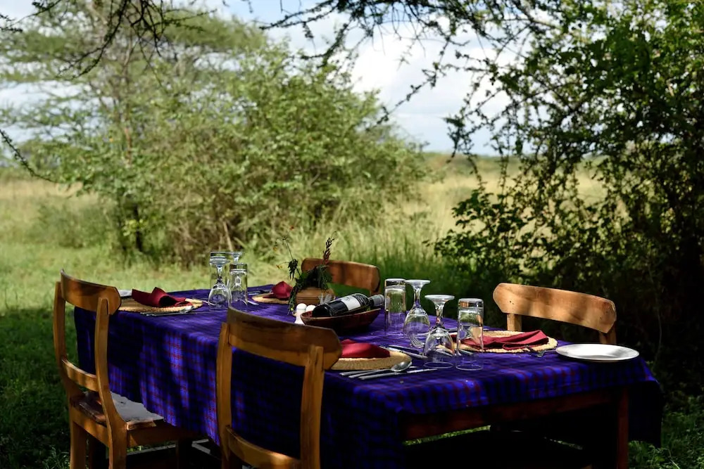 Ikoma Bush Camp