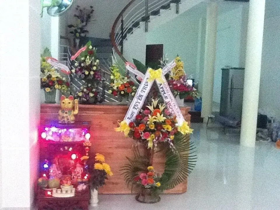 Hotel Apple