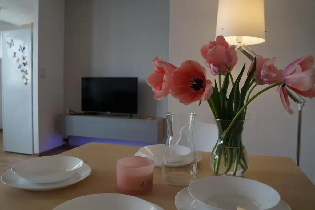 Apartament Gliwice Centrum Dunikowskiego
