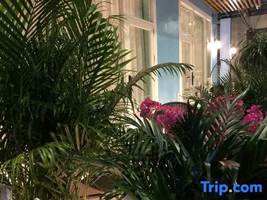Zhaoqing Provence de Printemps Homestay
