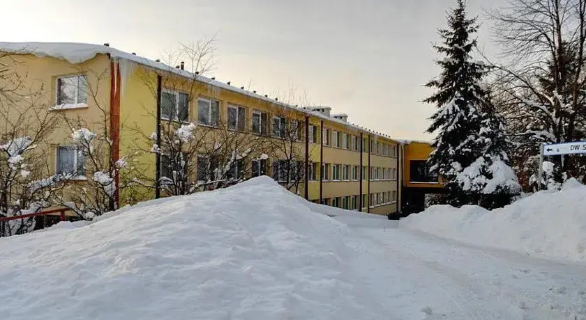 Storczyk