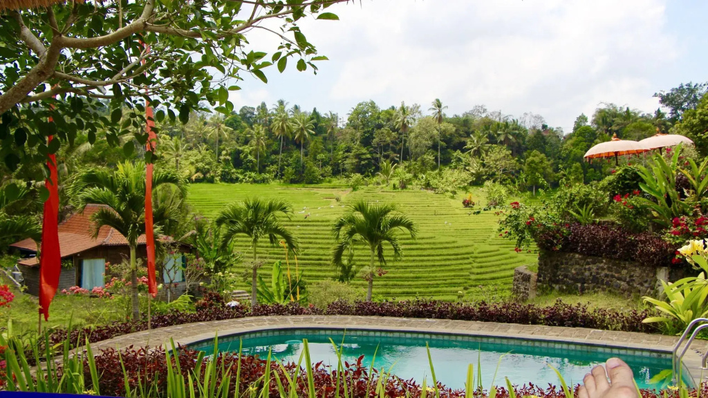 Bali Lush