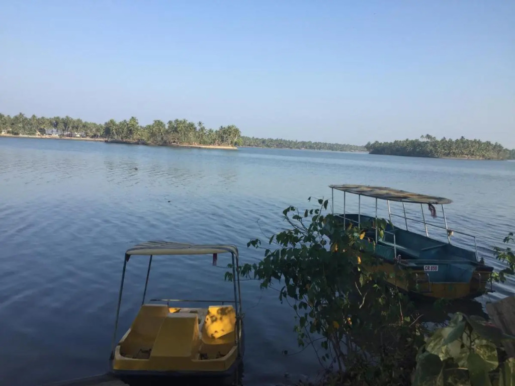 Paradise Lagoon