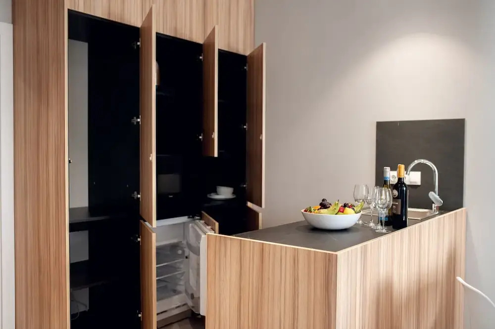 Spacious Apartment Center
