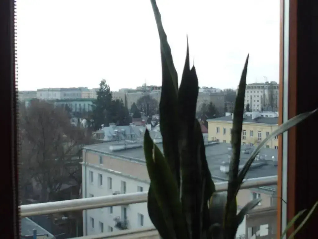 Ajaks Mokotów