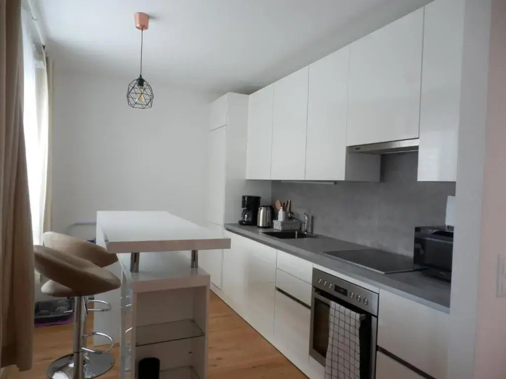 Spacious, Modern 1-bdrm Apt near VIC & Austria Ctr