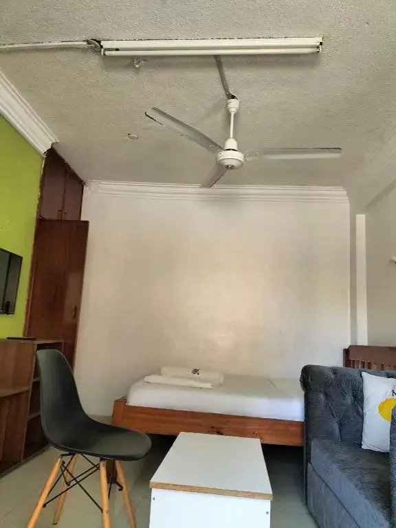 Luxurious Studio Apartments