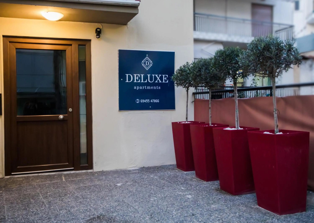 DELUXE APARTMENTS - parking , central suites