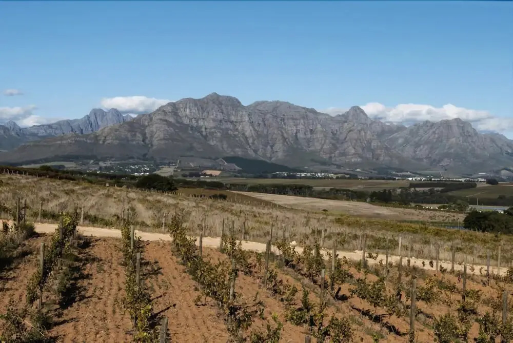 Gilga Wine Guest House