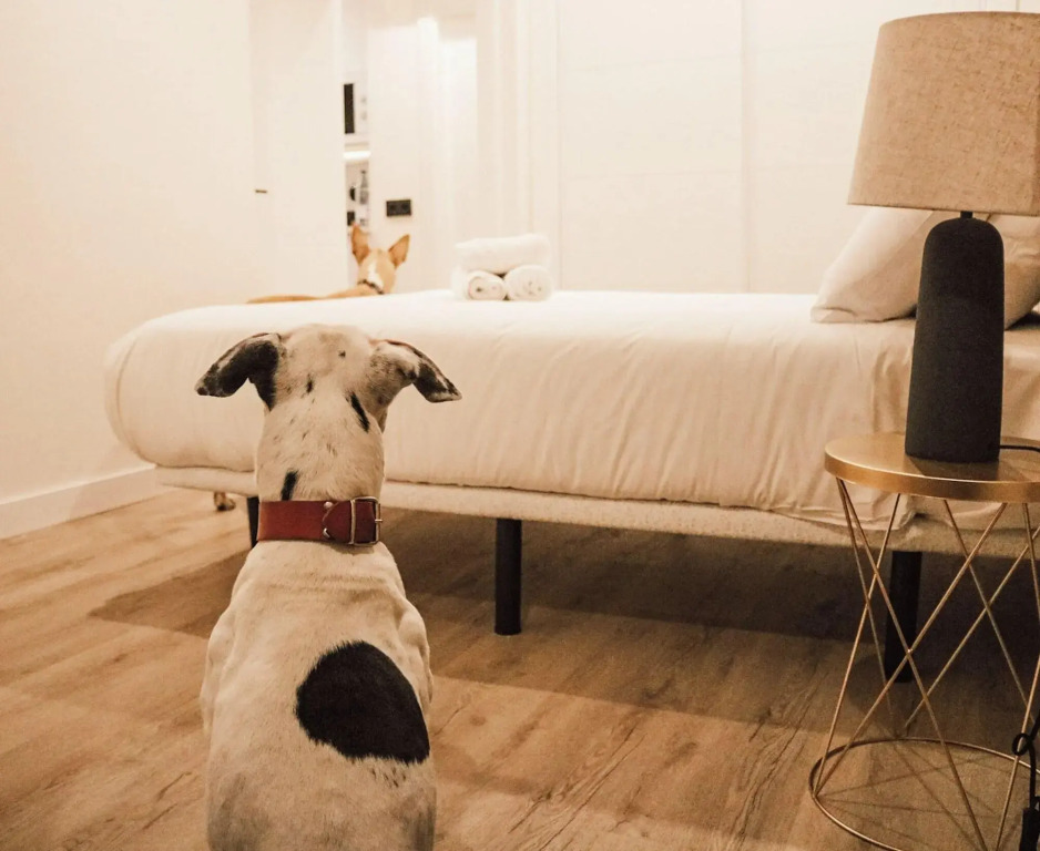 Apartamentos Málaga Premium - Calle Granada