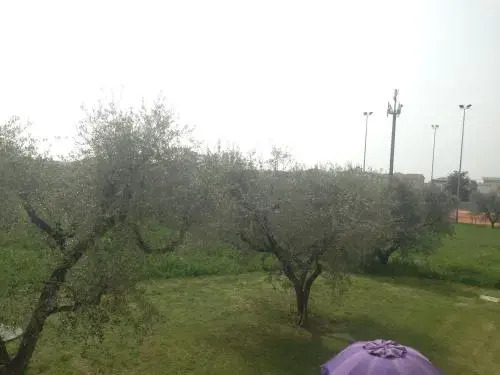 Apartments Colombara Bardolino
