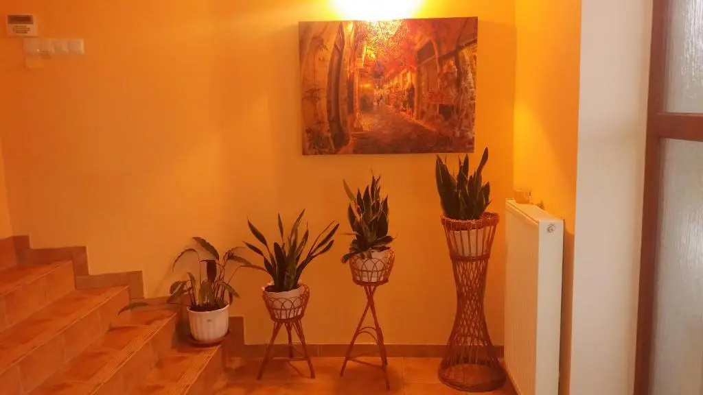Noclegi Avoca