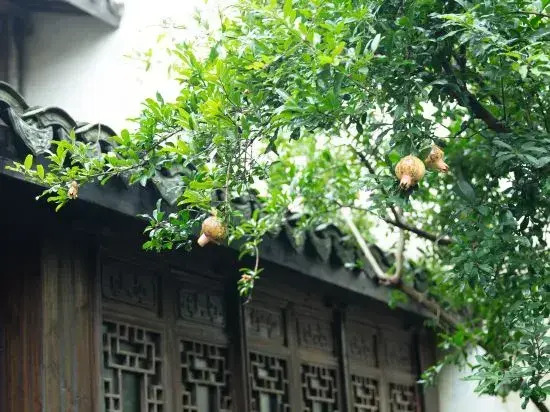 Xitang Hostel