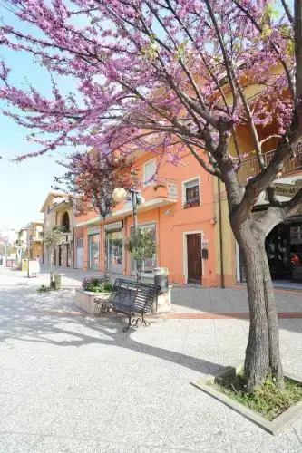 Il Leccio