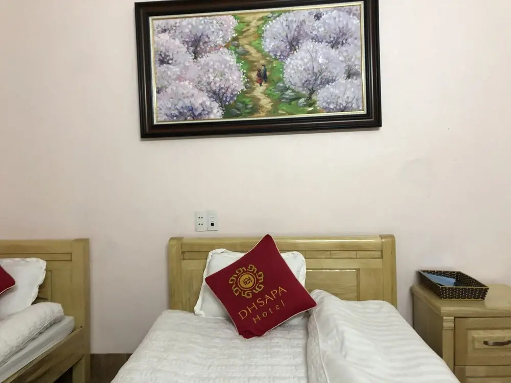 DH Sapa Hotel & Travel