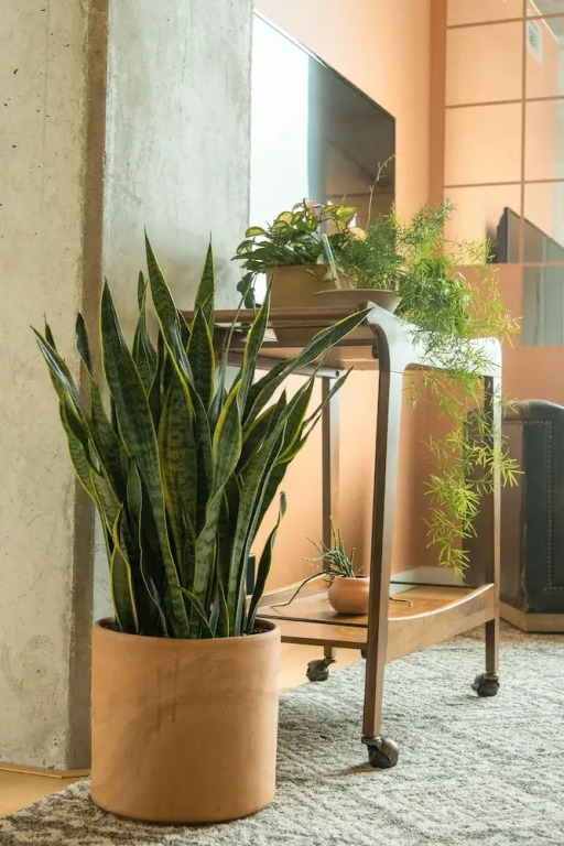 Designer, Spacious 1BD in Historic District