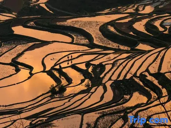 Yuan Yang Yin Xin · Valley Resort and Viewing Homestay for Mountain and Stream Tracing