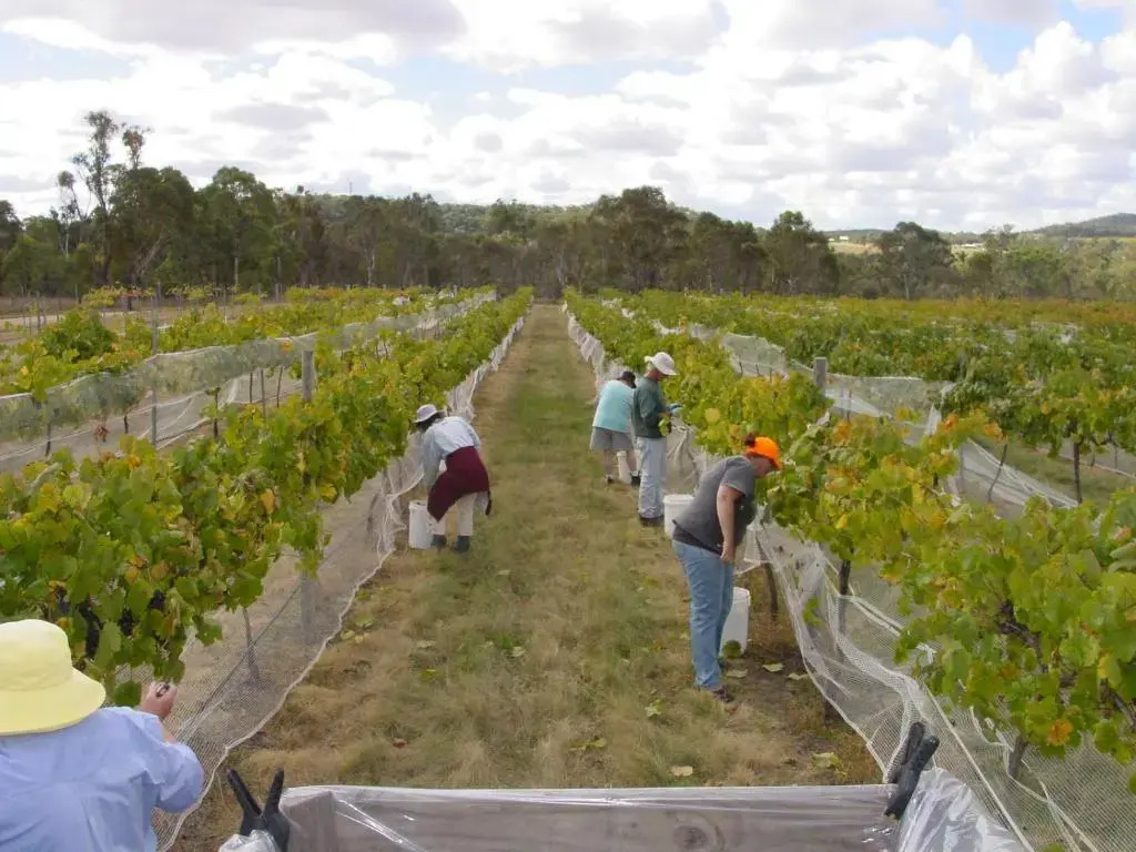 Fergies Hill Spa Cottage @ Granite Ridge Wines