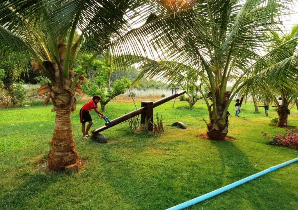 Pongsin Resort