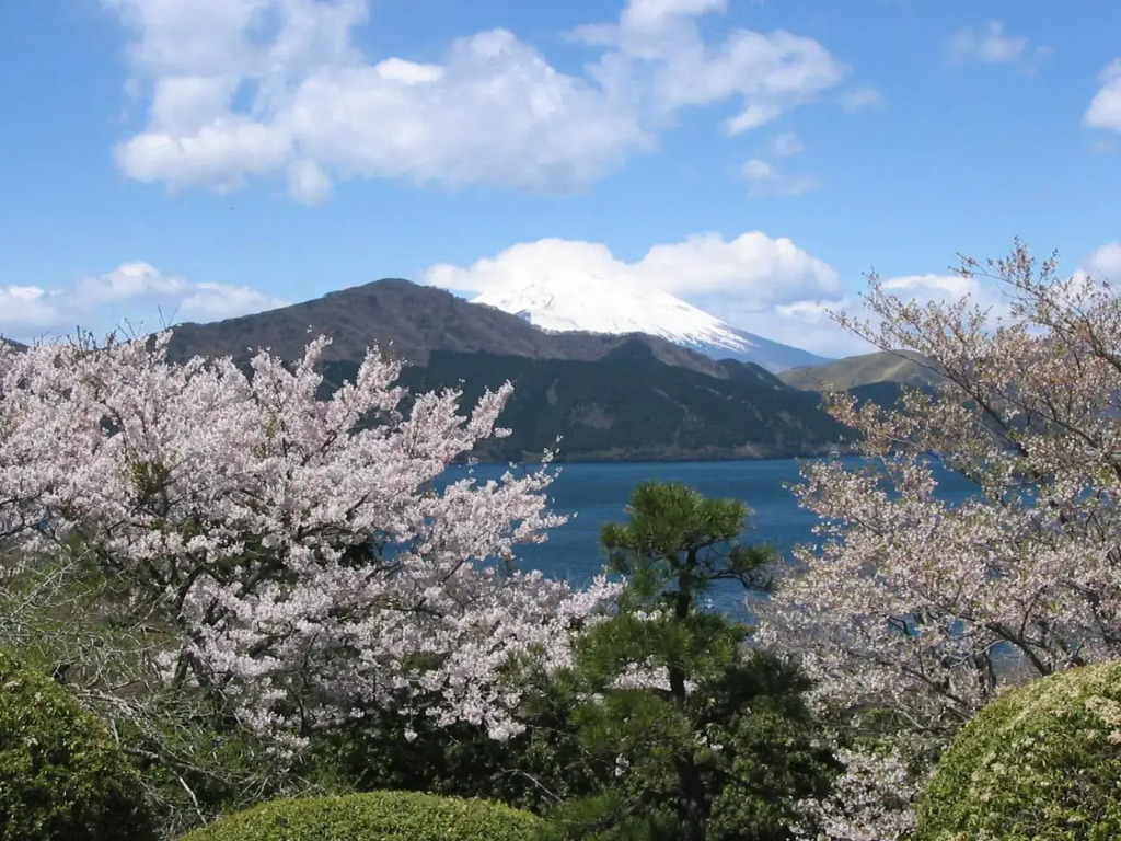 Taisho Motor Wir zen - Vacation STAY 88575